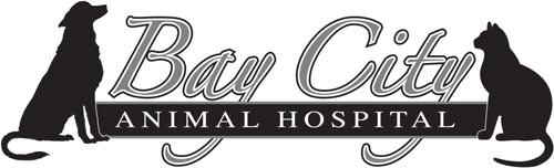 Home | North Bay Vet Emergency, Veterinary Chiropractic and Animal Hospital